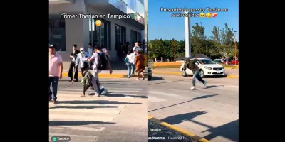 Therian cocodrilo” se vuelve viral en Tampico tras agresión en la calle; video supera 15 millones de vistas