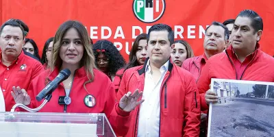 Tenemos perfiles para poder competir y ganar municipios: PRI