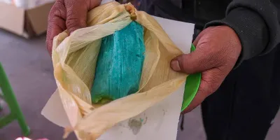 Tamales con fentanilo en la mira de Sheinbaum