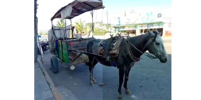 Adiós a caballos en Texmelucan: modernizan recolección de basura con nuevas unidades