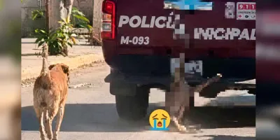 VIDEO. Indignación en Puebla por patrulla que arrastró a un perro en Xochiltepec; autoridades aseguran que era un cadáver