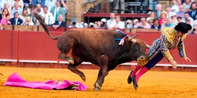 Morante de la Puebla sufrió una fuerte cornada en Sevilla; el torero fue intervenido de emergencia tras el dramático percance.