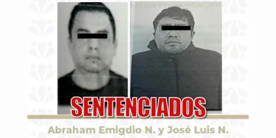 Sentencian a responsables de maltrato animal en Puebla; casos de “Peluchita” y “Chon” generan indignación