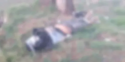 Hallan a hombre degollado en Texmelucan; estaba semiemplayado