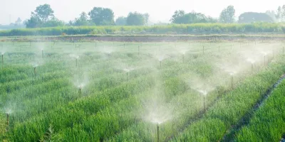 Ahorro de agua en el agro genera alerta por posibles sanciones