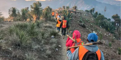 250 brigadistas combaten incendio forestal en Zautla