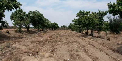17 municipios poblanos en sequía, según datos de Conagua