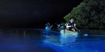 ¿Agua que brilla? Así es la increíble Laguna de Manialtepec en Oaxaca