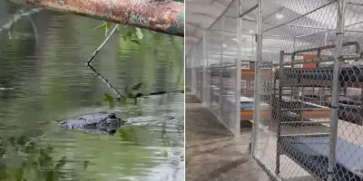 El fin del “Alcatraz de los caimanes”: Florida clausura el centro migrante más criticado
