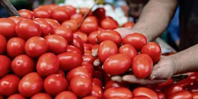 Inflación en México baja a 3.55% en la primera quincena de junio