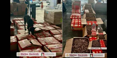 Marina asegura casi 2 toneladas de tepezcohuite