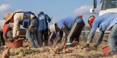Aplican aranceles a trabajo forzoso