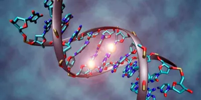 2. ¿El síndrome de Down puede heredarse? La ciencia explica cuándo sí ocurre