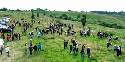 Impulsa Tonantzin Fernández acciones permanentes de reforestación en el Cerro Zapotecas