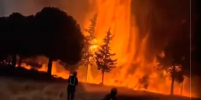 Incendio en Gironda arrasa 240 viviendas y deja 75 bomberos heridos; Francia enfrenta uno de sus peores desastres forestales