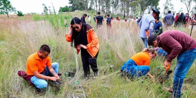 Mantiene Tonantzin Fernández reforestaciones constantes en el Cerro Zapotecas