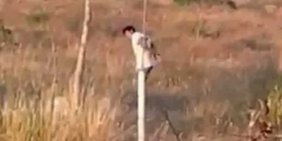 Trailero es golpeado, amarrado y abandonado tras violento asalto en la Cuacnopalan-Oaxaca