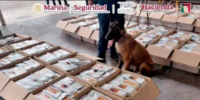 Detectan café contaminado con presunta cocaína durante revisión de Aduanas 