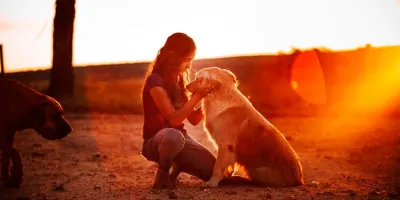 Permiso por muerte de mascota: proponen tres días con sueldo
