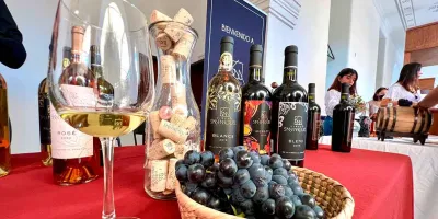 Museo del Vino de Dolores Hidalgo: una experiencia para brindar
