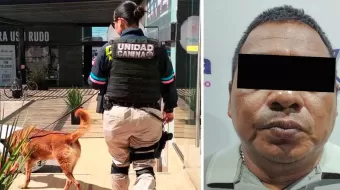 Unidad Canina de la Policía Municipal de Puebla aseguró más de 30 kilogramos de droga