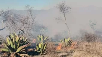 Incendio deja desastre ambiental en la Sierra Negra