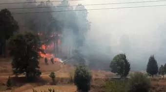 Tras más de 10 horas activo, sofocan incendio del cerro de San Francisco Tepeyecac