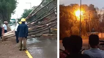 Fuertes vientos derriban árboles y postes en Tehuacán