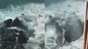 CAPTAN a extraña criatura que sale del mar, ¿será Godzilla?
