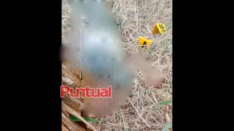 Encuentran a joven sin vida en rancho de Pantepec