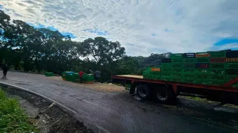Accidente en Pantepec: camión cargado de pollos se vuelca