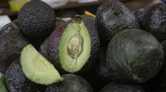 Regresa la Feria del Aguacate a Atlixco: una fiesta de sabor y tradición