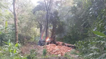 Tractocamión choca y se incendia tras quedarse ¡SIN FRENOS!