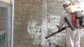 Tehuacán,  Izúcar, Xicotepec,  Huaquechula y  Coxcatlán con más casos de Dengue