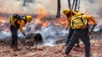 Puebla ya tiene afectaciones por los incendios forestales