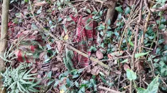 Cuerpo encobijado y putrefacto fue hallado en Huauchinango 