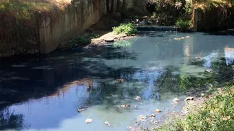 El rescate del río Atoyac se encuentra en etapa de diagnóstico: Medio Ambiente 