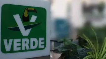 Los ecologistas ni ven ni oyen el tema de la NO reelección de Morena