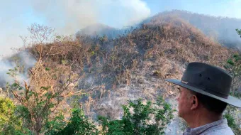 CASTIGO a quien cause daño ambiental o cualquier recurso natural 