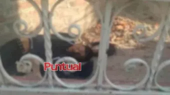 Intenta entrar a iglesia y MUERE tras herirse con herrería en Moyotzingo