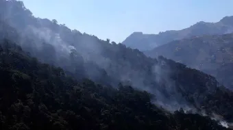 Controlan incendios forestales en Chiconcuatla y Zacatlán; hubo dos más en la capital
