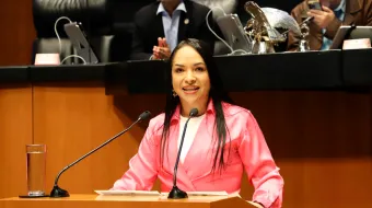 PT define estrategia electoral 2027: Candidaturas en común con Morena en alcaldías clave