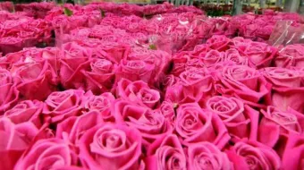 Chiautzingo celebra el primer Festival Regional de las Flores el 27 de abril