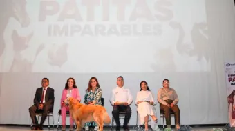 Se busca reforzar los mecanismos en materia administrativa y penal para investigar o, en su caso, sancionar el maltrato animal