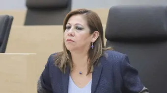 Artemisa llamó a diputados a regresar a sus distritos para atender demandas