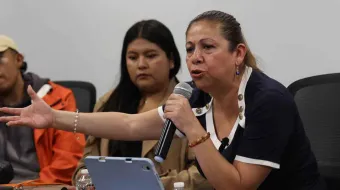 Artemisa pidió calma a diputados para discutir ciberasedio