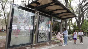 En espera mejoramiento de 400 paraderos en la capital; aún no hay licitación