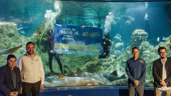 Llega la Noche de Museos de junio con descuentos y promociones