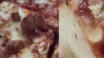 Pizza con ‘proteína extra’: denuncian huevos de mosca en sucursal de Little Caesars