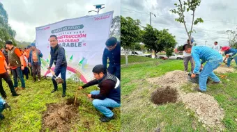 Refuerza Gobierno de la Ciudad acciones ambientales con dos jornadas de plantación de árboles en esta semana